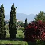 Le Storie Di Bambu