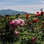 Le Storie Di Bambu * Terni