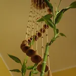 Le Storie Di Bambu