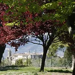 Le Storie Di Bambu * Terni
