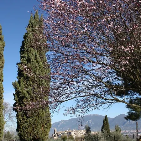 Le Storie Di Bambu * Terni