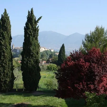 Le Storie Di Bambu