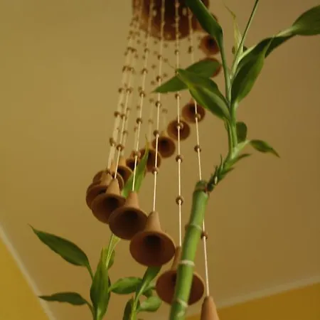 Le Storie Di Bambu