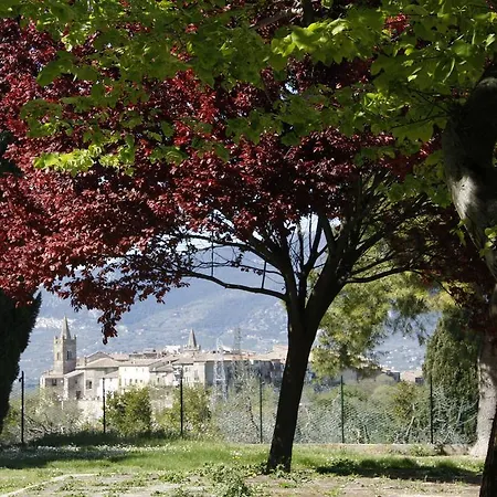 Le Storie Di Bambu * Terni