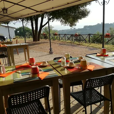 Le Storie Di Bambu Terni