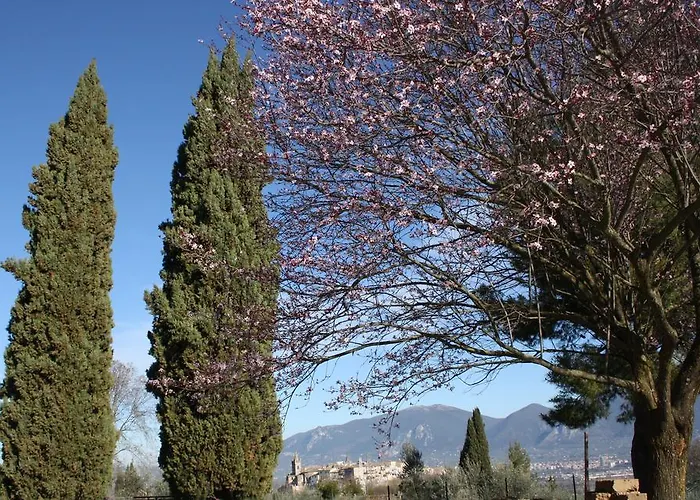 Le Storie Di Bambu * Terni